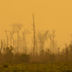 Image for article titled Photos: Inside the toxic haze, a “crime against humanity” caused by Indonesia’s fires